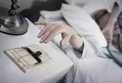 性与早餐手机在线观看,手机在线观看的激情早餐时光