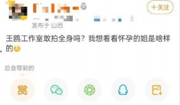 日本娱乐算爆料吗为什么,为何成为热议焦点