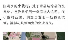 沧县爆料最新新闻事件是真的吗,真相揭秘