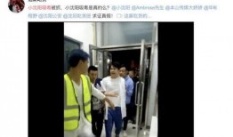 小沈阳爆料媳妇视频大全,揭秘明星家庭生活瞬间