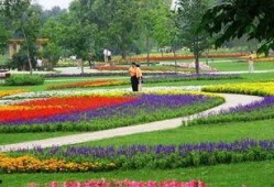 长春百花园爆料最新消息