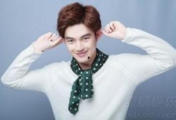 李丽欣男朋友爆料新闻,揭秘明星背后的真相