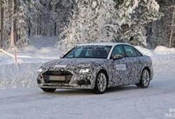 a4最新爆料,揭秘行业背后惊人内幕