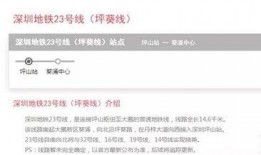 深圳的张先生最新爆料,揭秘某事件背后惊人真相！