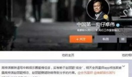 狗仔爆料新闻事件视频在线观看,热门新闻事件视频全程回顾