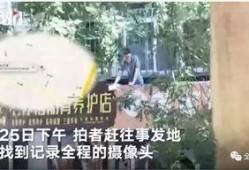 最新台风爆料新闻视频播放,揭秘风暴眼下的紧急应对与实时播报