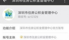 深圳的张先生最新爆料,揭秘某事件背后惊人真相！