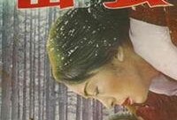 密会高清在线观看,揭秘神秘情缘，激情燃烧的夜晚