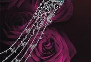 切钻玫瑰在线观看,浪漫邂逅，在线见证爱情奇迹