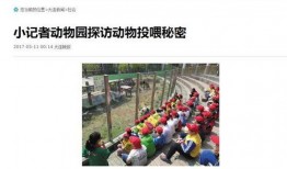 爆料大连新闻最新消息,重大事件引发社会关注