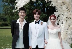 爆料男星结婚了视频合集,多位男星喜结连理，独家视频合集大揭秘！